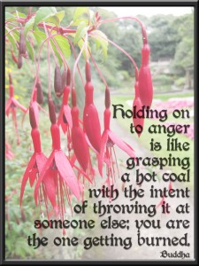 Holding on to anger...   (Buddha)